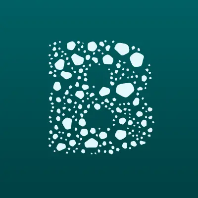 Безопасная Республика, IT-компания, лого-визитка
