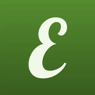 EuroPlat, терминал, лого-визитка